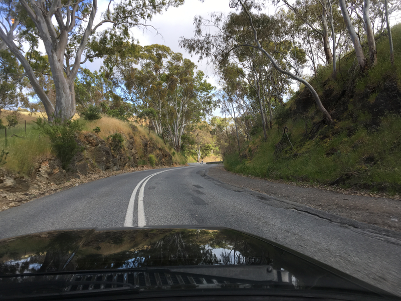 Illustration for article titled BMW 635CSi. Adelaide Hills. Springtime. Goodtime.